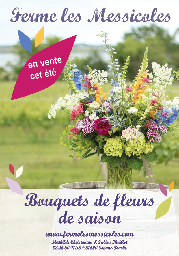 Flyer fleurs-mai 2019-site Messicoles-rvb