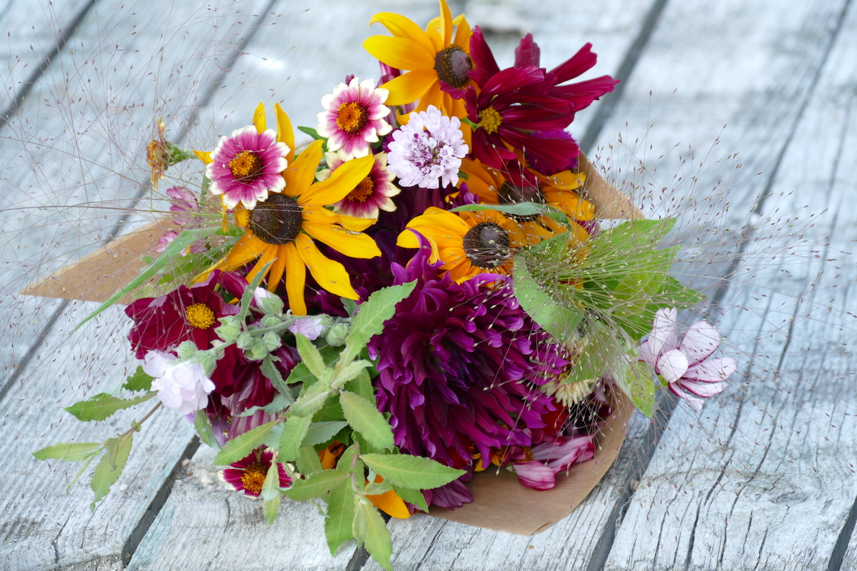 P1070432 - bouquet jaune et pourpre