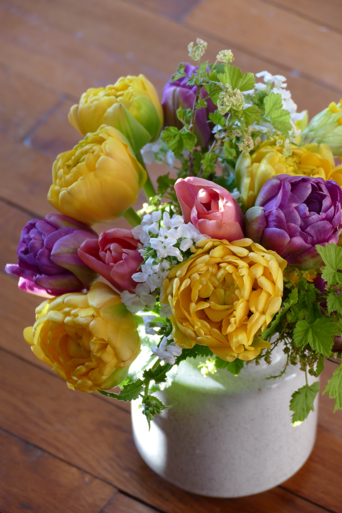 P1080103 - tulipes avril