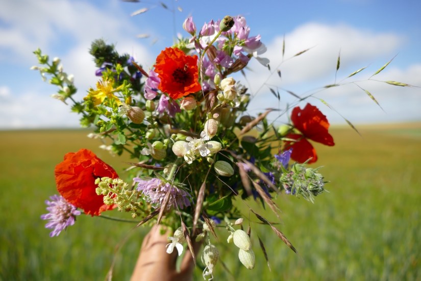P1080230 - Bouquet bord de champ-18juin20
